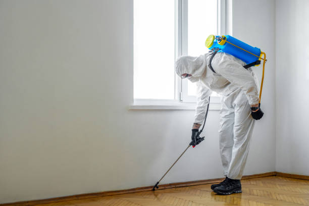Best Mosquito Control Services  in Caledonia, MI