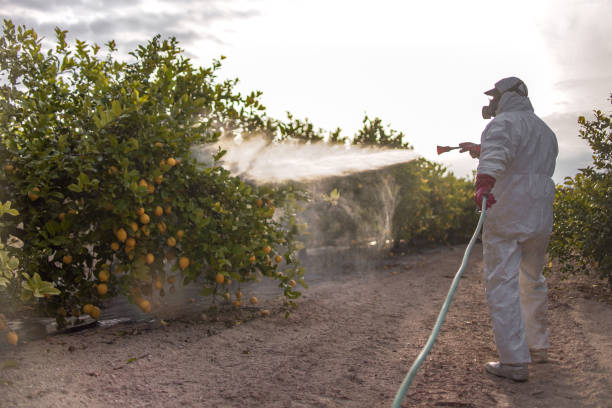 Insect Control in Caledonia, MI
