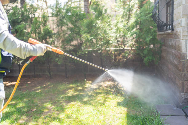 Best Wasp Removal Services  in Caledonia, MI
