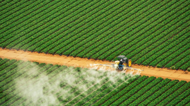 Best Commercial Pest Control Services  in Caledonia, MI