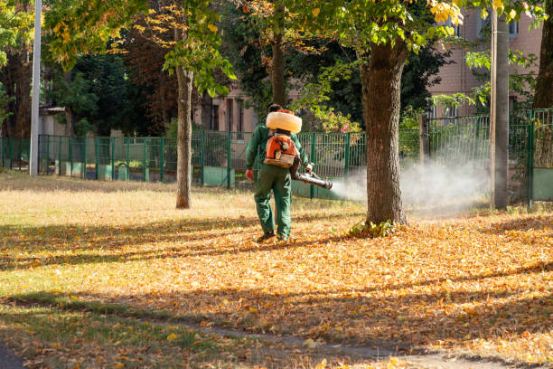 Best Emergency Pest Control  in Caledonia, MI