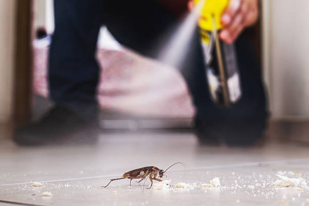 Best Rat Extermination Near Me  in Caledonia, MI