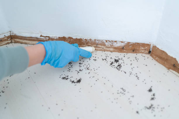 Best Affordable Pest Control Services  in Caledonia, MI