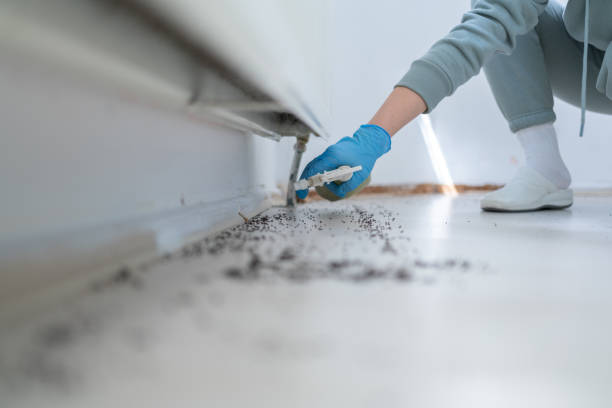 Best Insect Control  in Caledonia, MI