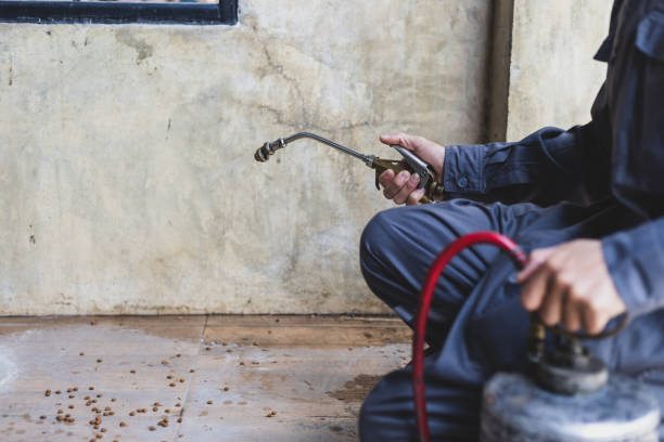 Best Residential Pest Control  in Caledonia, MI