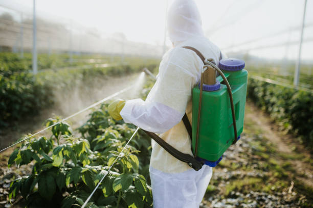 Best Insect Control  in Caledonia, MI